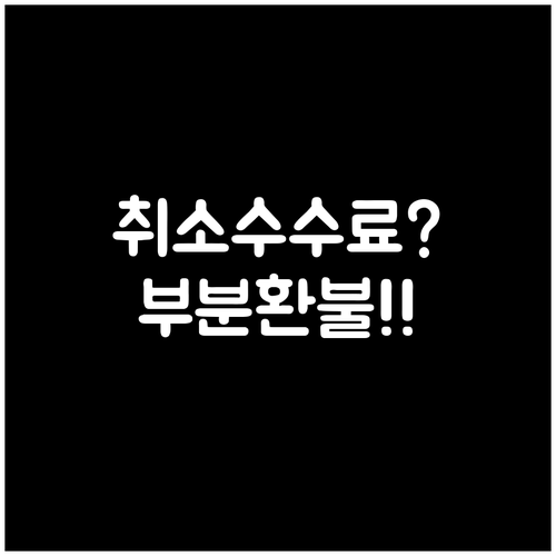센트럼항공 항공권 취소 수수료와 부분..