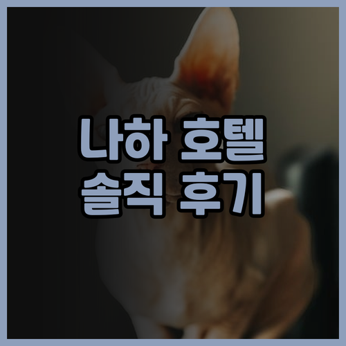 호텔 아쿠아 치타 나하 바이 WBF ..