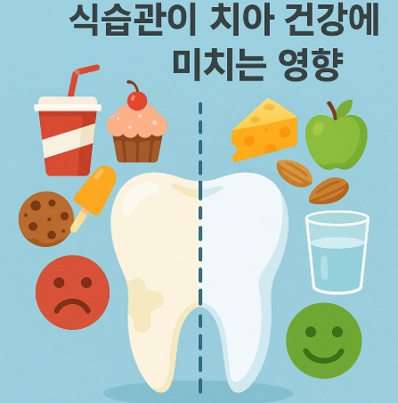 치아 예시 이미지