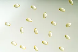 중복 음식 여름 기력 회복 효능별 보양식