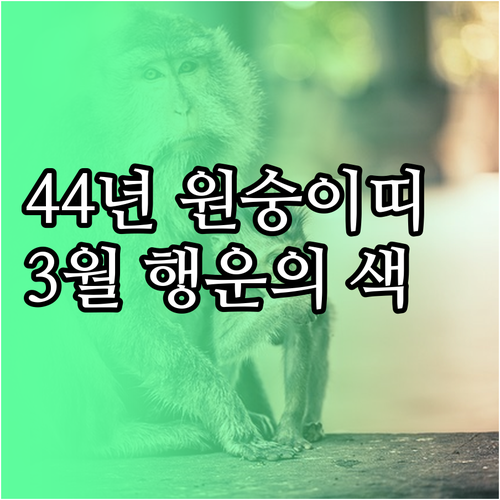 1944년생 원숭이띠 2026년 3월..