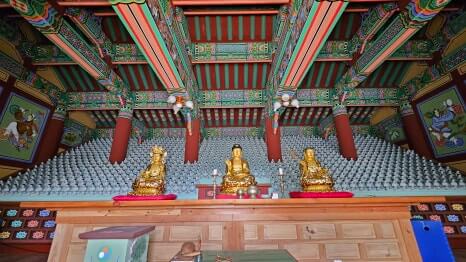 해남 서동사 : 보물 대웅전과 동백 숲이 건네는 천년의 위로