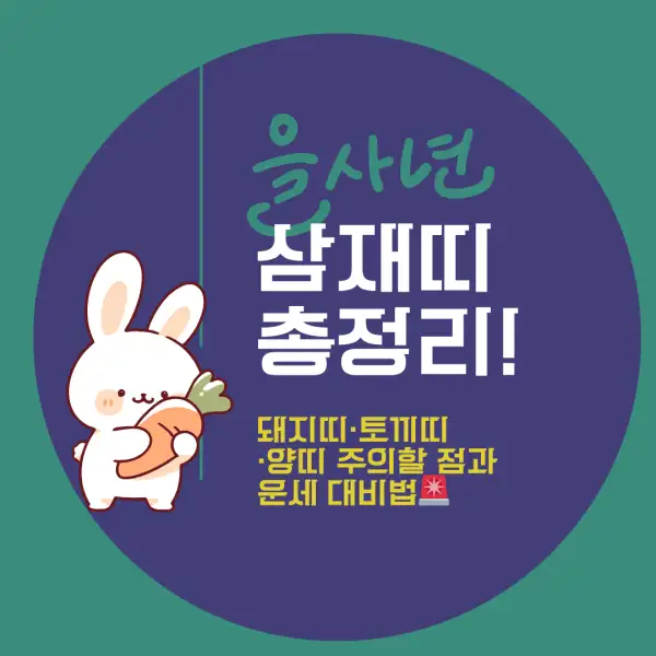 2025년 삼재띠 총정리!