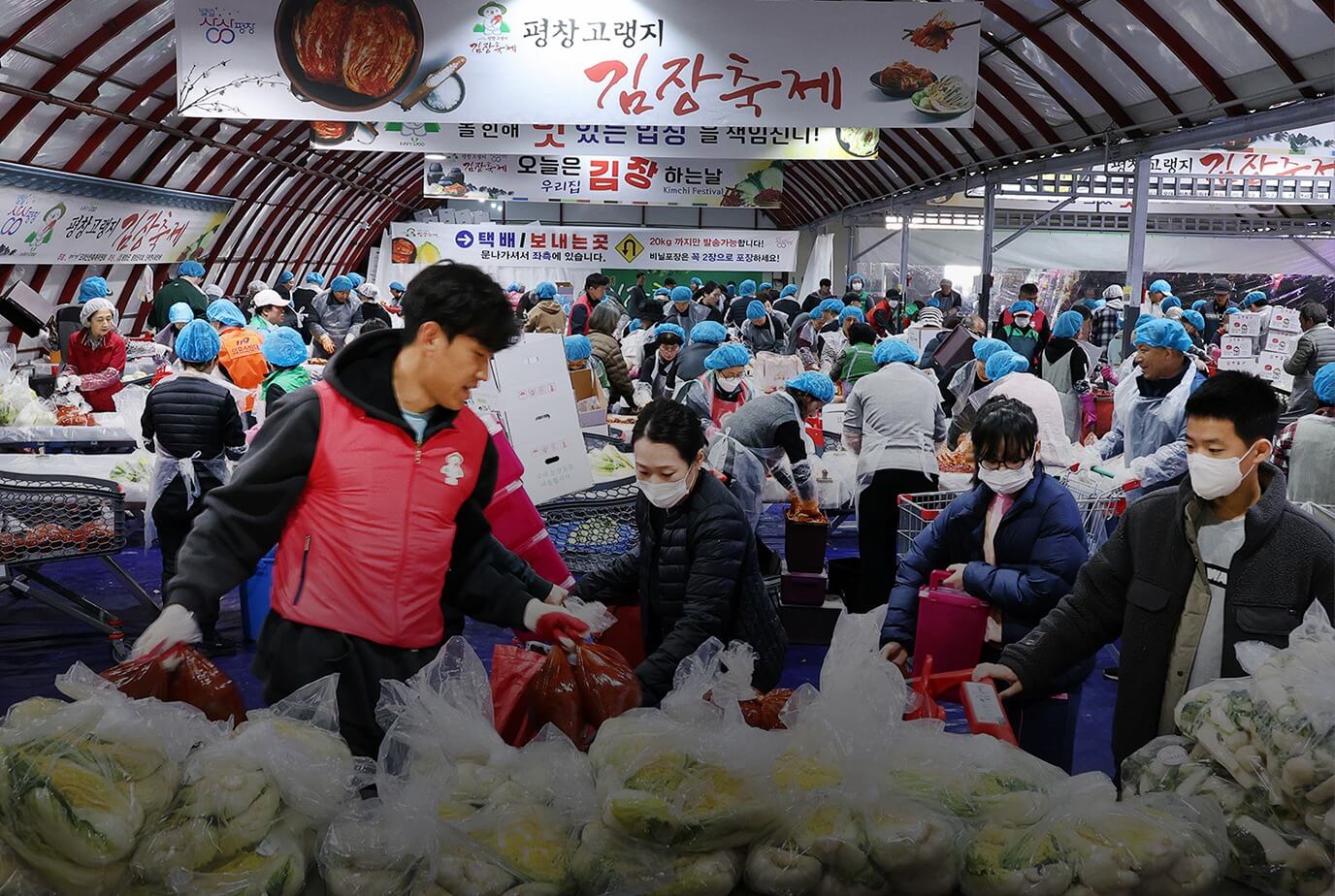 평창 고랭지 김장축제 예약 방법