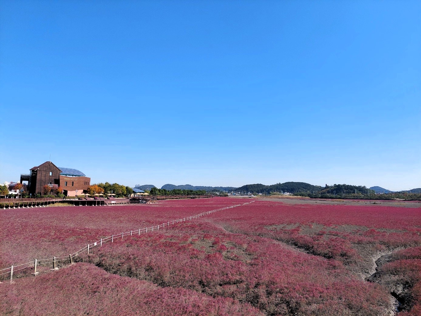 소래습지생태공원