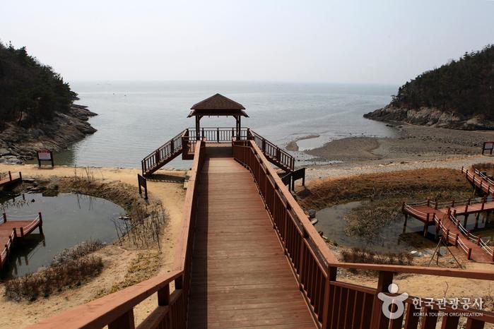 변산 자연휴양림 지도 예약 위치 해변 바다 트레킹 숲속의집 날씨 정보