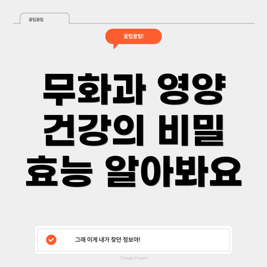 무화과의 효능