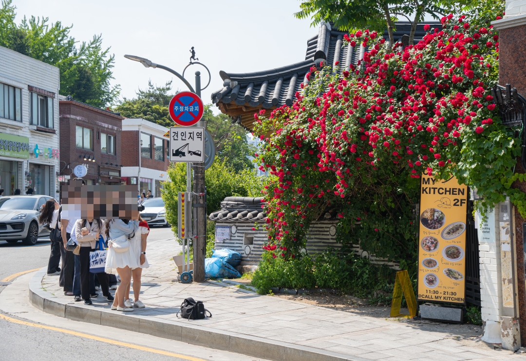 행궁동 콜마이키친 장미