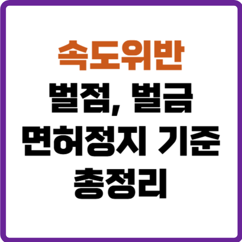 속도위반 벌점