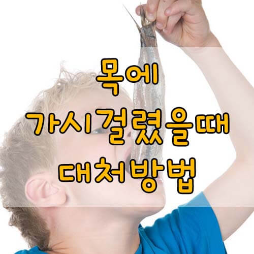 목에 가시가 걸렸을 때, 생선 가시가 목에 걸렸을 때 대처 방법!!