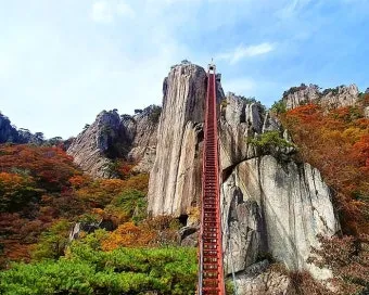 대둔산 등산코스 상세 등산지도와 안전한 산행 팁 2025_3