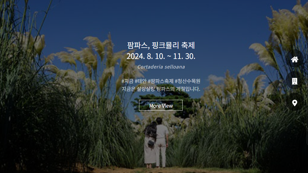 2024-핑크뮬리-축제와-개화시기-명소-추천-Best 10-태안-청산수목원