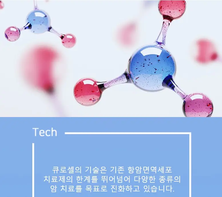 큐로셀 공모주