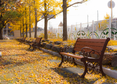 기초생활보장 수급자와 기초연금 수급자의 차이점