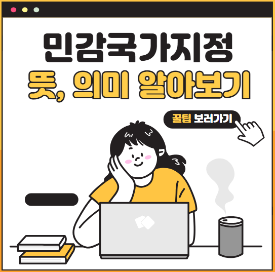 민감 국가 지정이란 무엇인가? (뜻/의미/지정국가 목록)