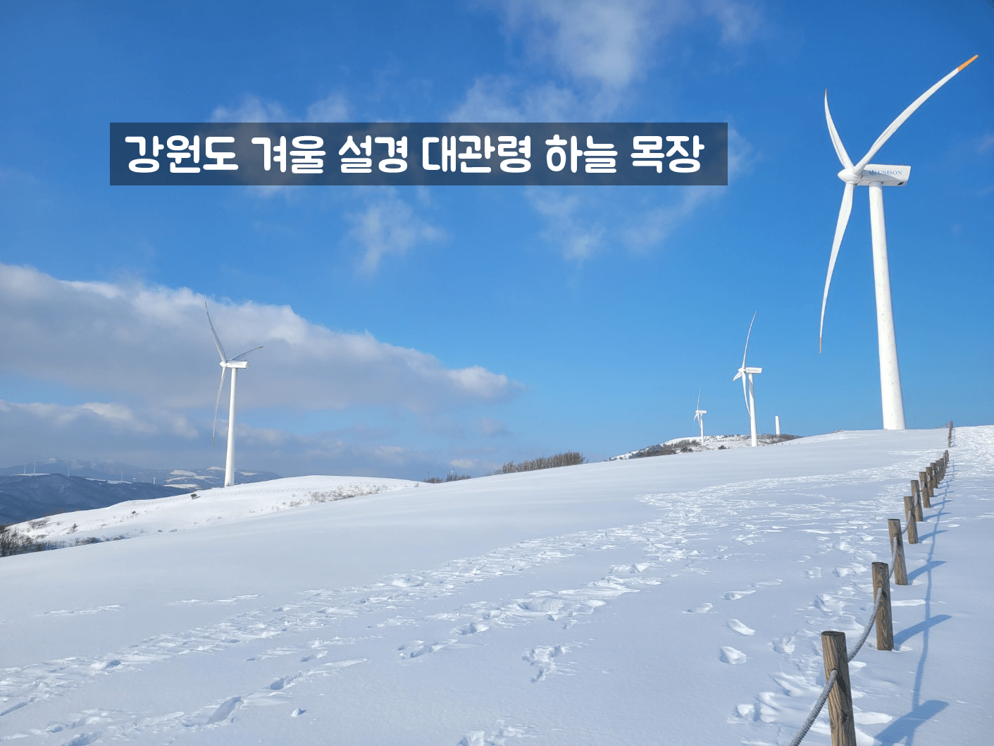 하늘 목장