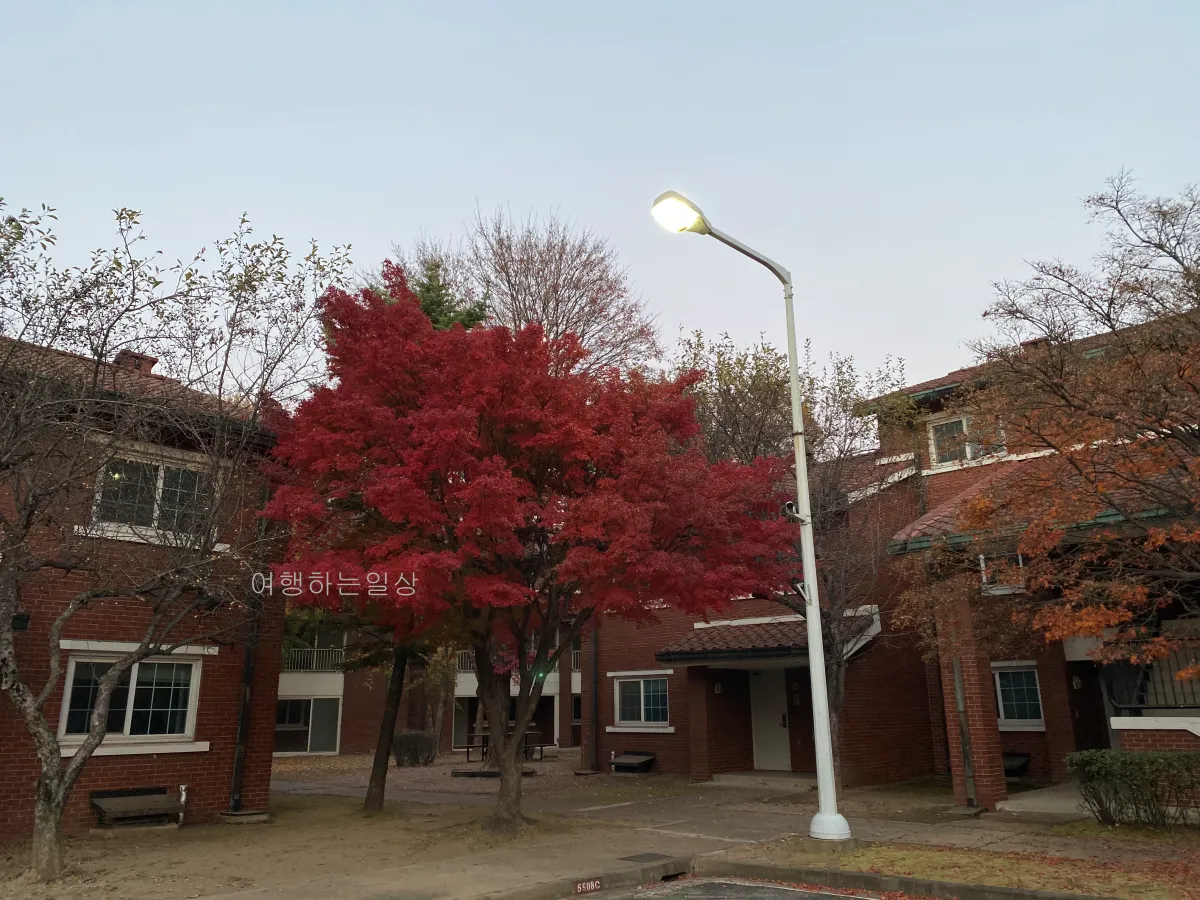 서울-크리스마스-데이트-장소-추천-용산공원-미군기지-포토존-평일방문후기