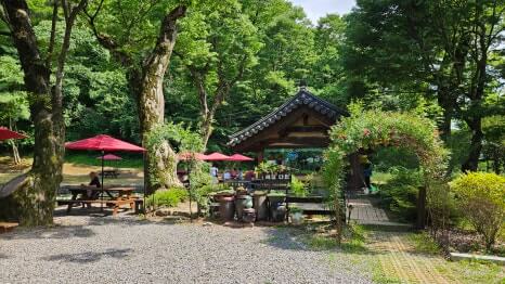 영월 보덕사 : 단종의 슬픔을 품고 연꽃으로 피어난 천년고찰