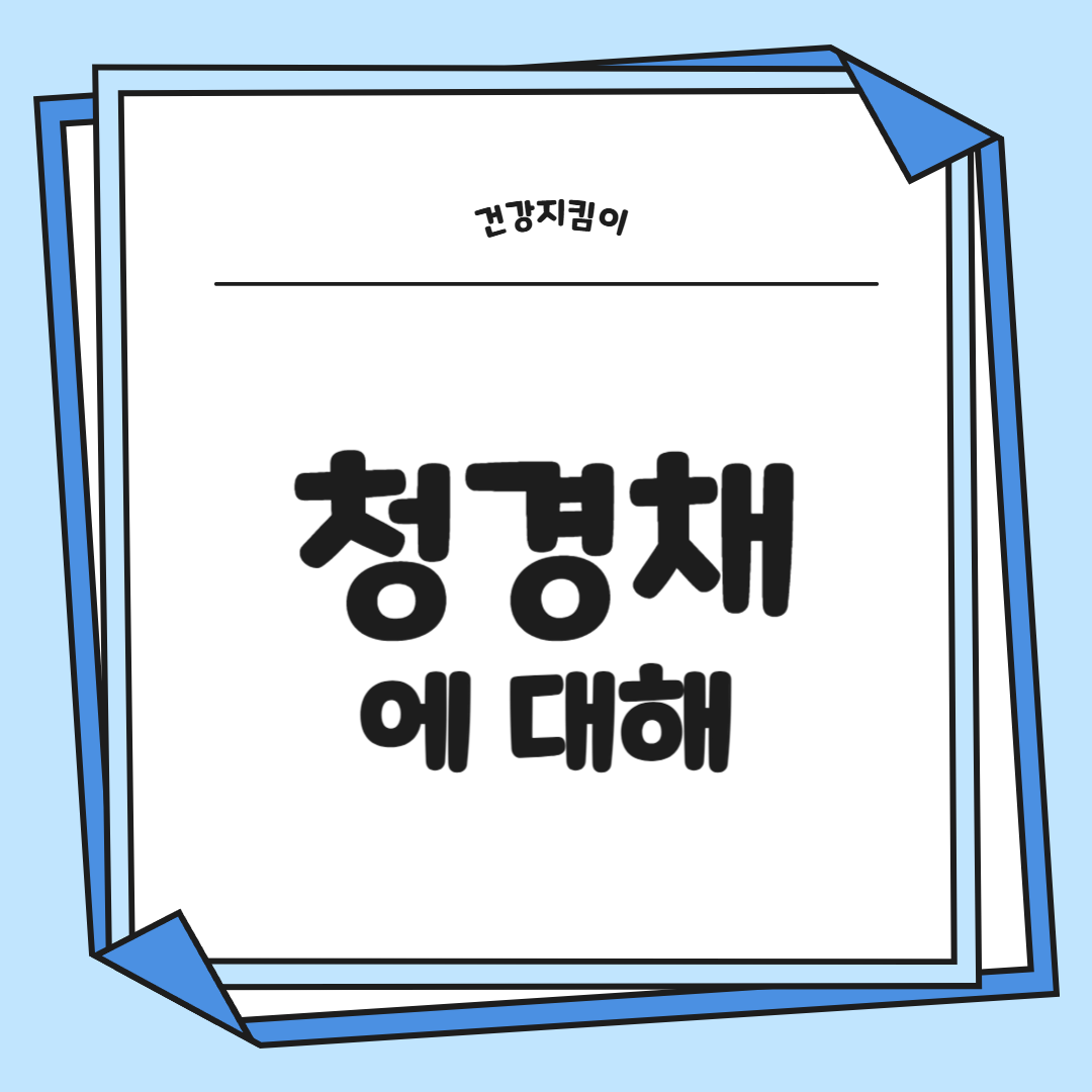 청경채 효능 부작용 고르는법 칼로리