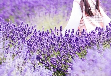 6월 국내 여행지 추천