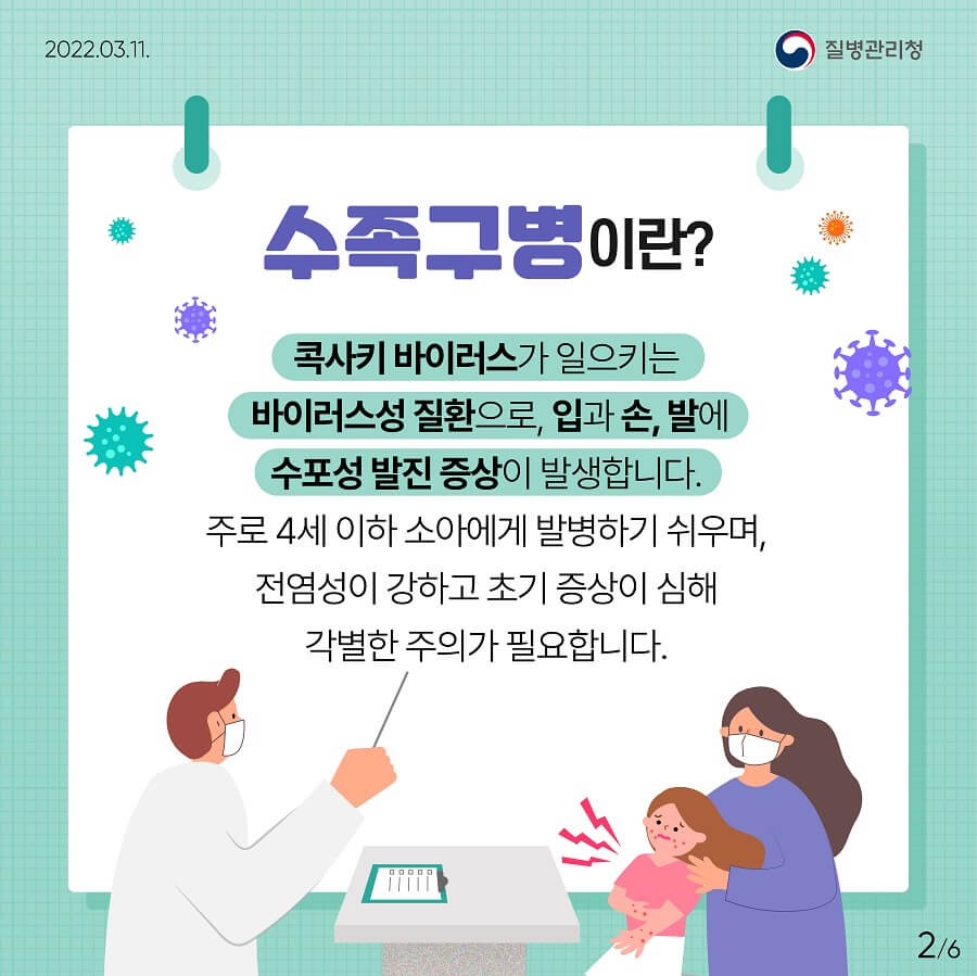 카드 뉴스