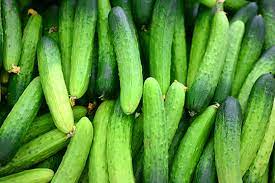 여자에게좋은음식