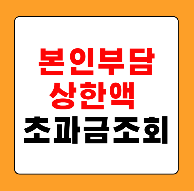 본인부담상한액 초과금 조회