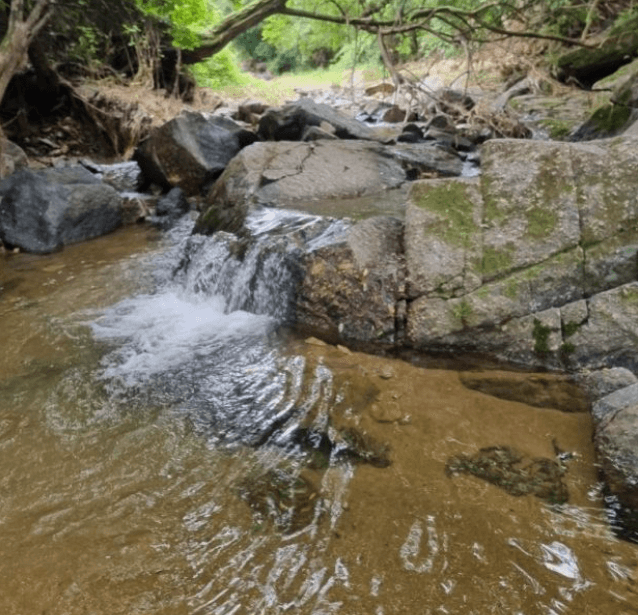 경기-포천-다올숲캠핑장-사진-입니다.