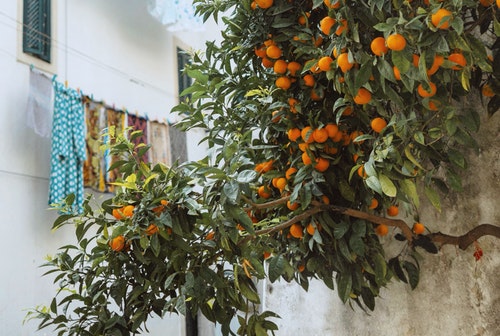 3. 혈류를 개선 시켜준다.