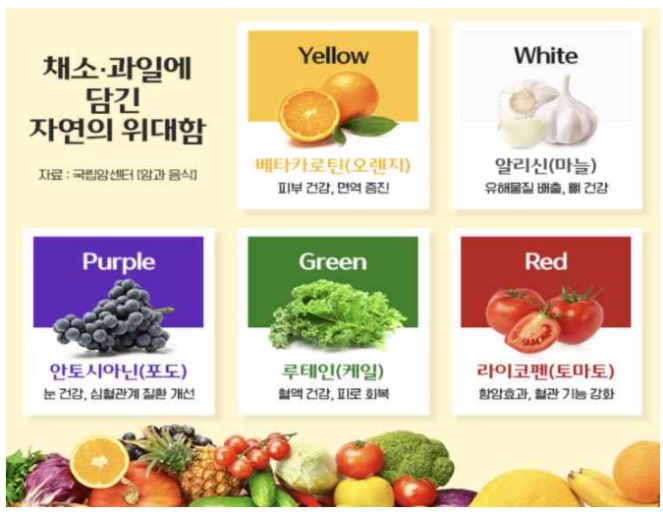 과일과 채소의 항암 효과