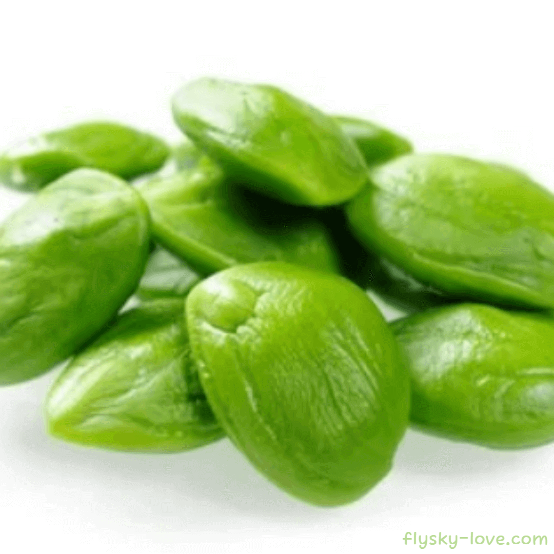 프타이 콩 (Petai Bean) 활용법