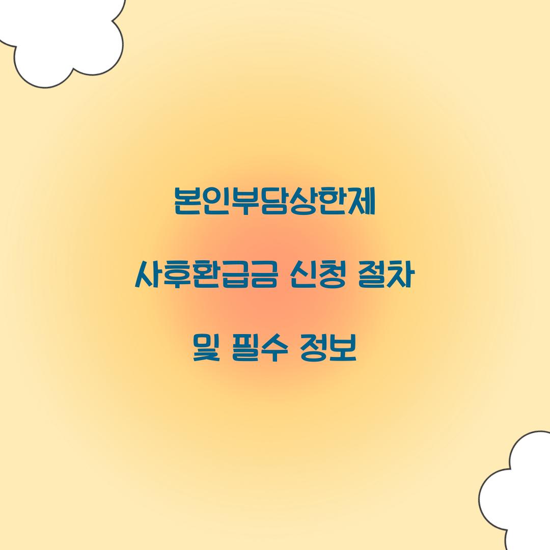본인부담상한제 사후환급금