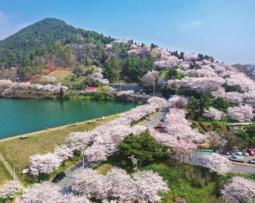 6월 남부지방