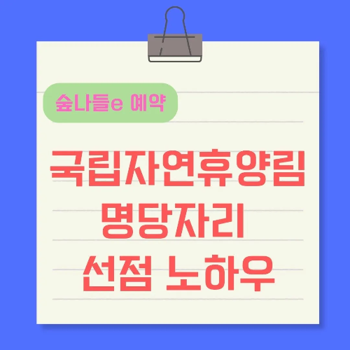 국립자연휴양림-명당자리-선점노하우-썸네일