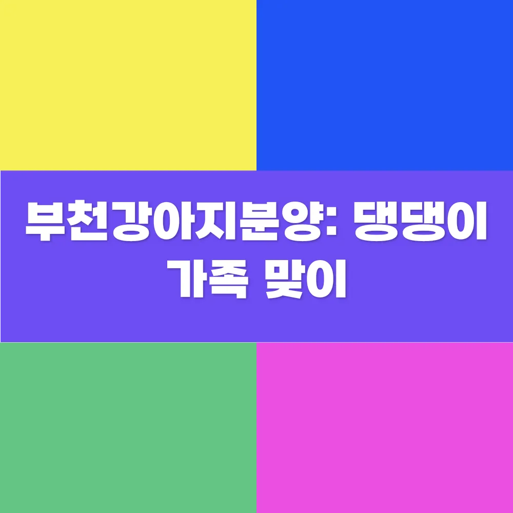 썸네일 이미지
