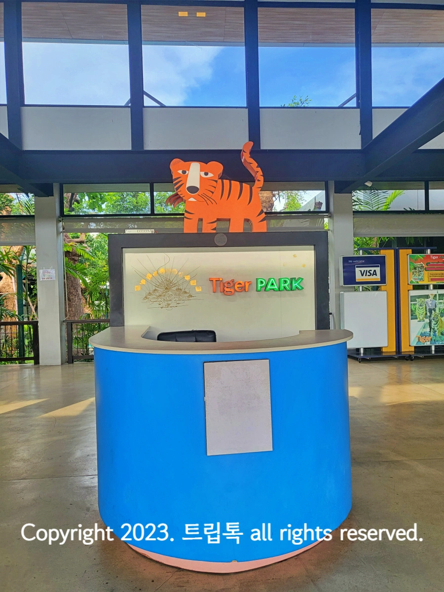 주황색 호랑이 모형아래 파란 테이블이 있다.