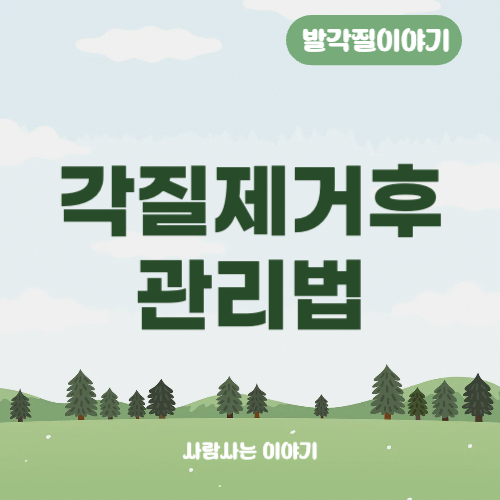 각질제거 후 관리법과 제품추천