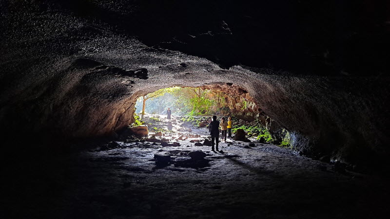 제주여행_성읍녹차마을_녹차동굴