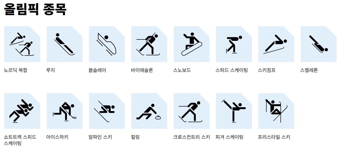 동계청소년올림픽 종목