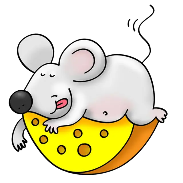 쥐이미지