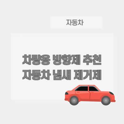 차량용-방향제-추천-자동차-냄새-제거제