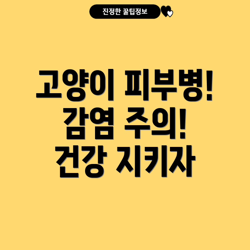 고양이 피부병
