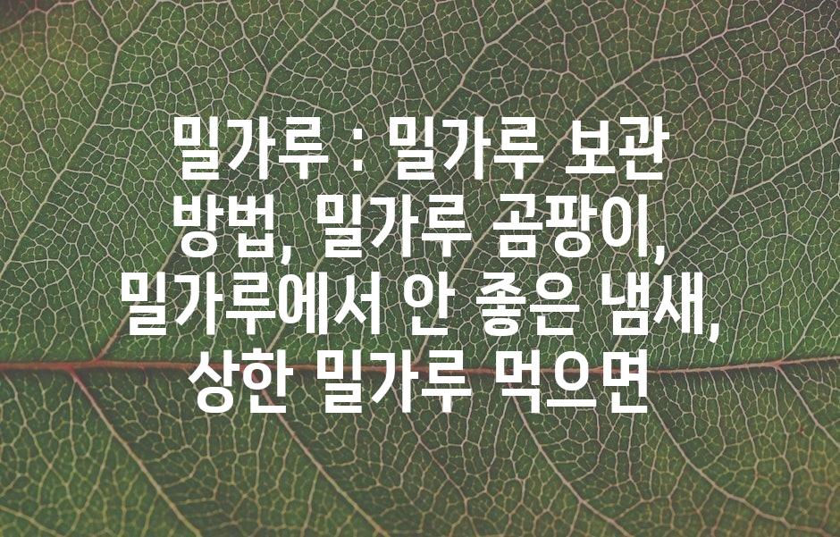 샘플 (43)