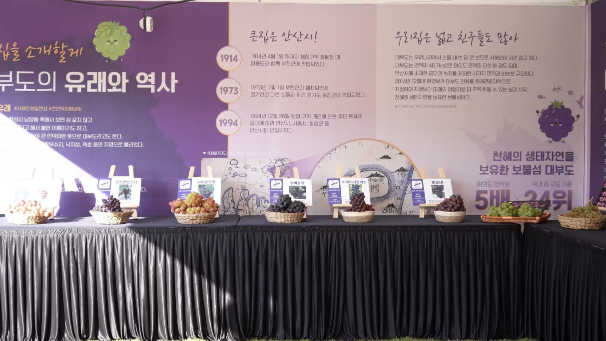 안산 대부포도축제