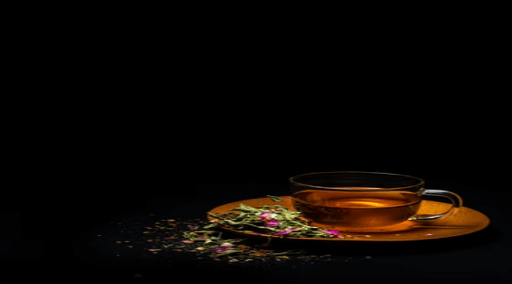 개다래 잎 사진