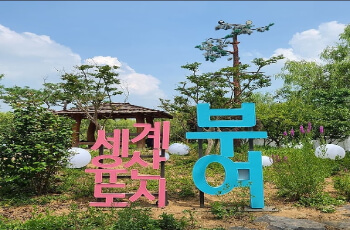 부여서동연꽃축제_2