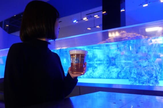 맥주를 들고 수족관을 바라보고 있는 여성