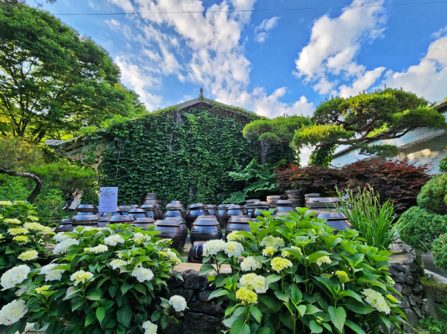 율봄식물원 수국 개화 시작! 광주 근교 수국 명소 완전 정복(개화시기, 입장료, 주차, 포토존 등)