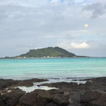 제주 협재 맛집 추천 카페와 브런치 맛집 포함_8
