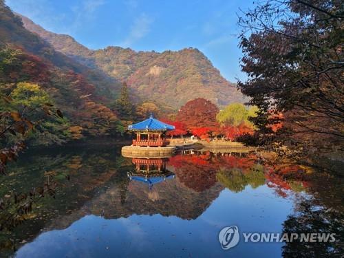 정읍 내장산 우화정 단풍